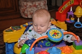 William's Twenty-Fourth Week 31